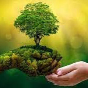 Meet your Posher, Vilasha